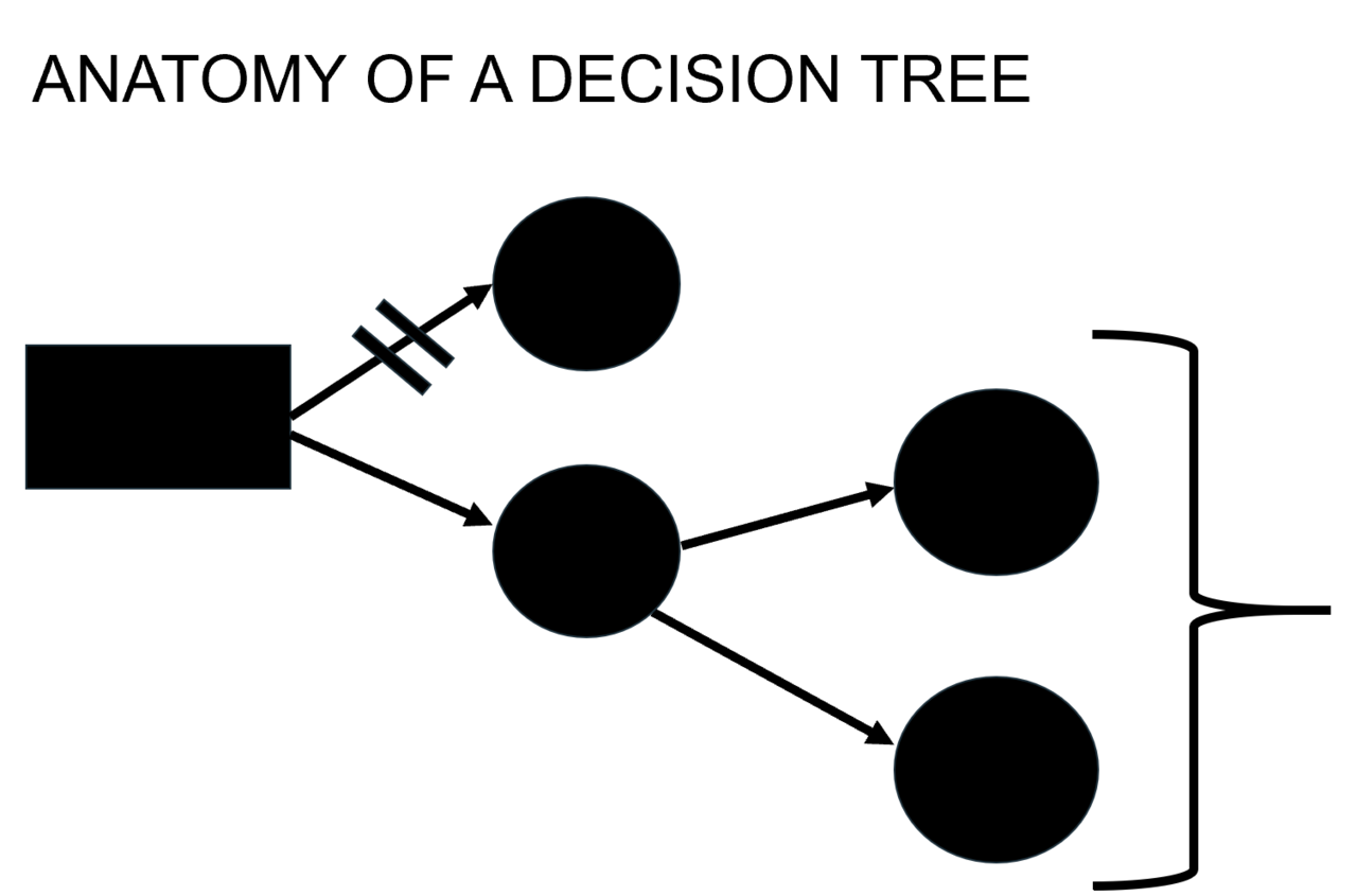 Decision trees: splitting data with a sequence of yes or no questions