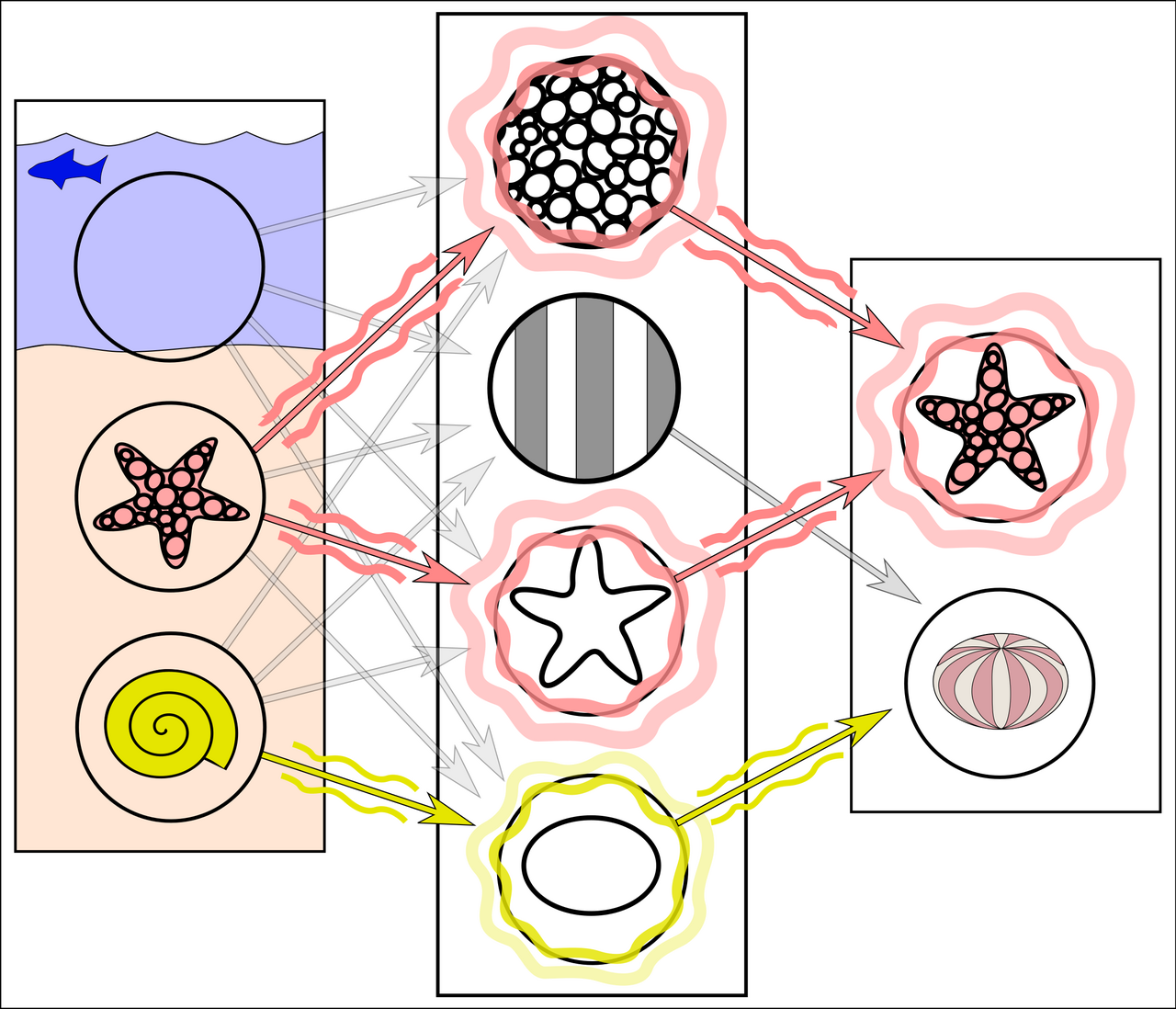 Dropout: silencing random neurons in training to reduce overfitting