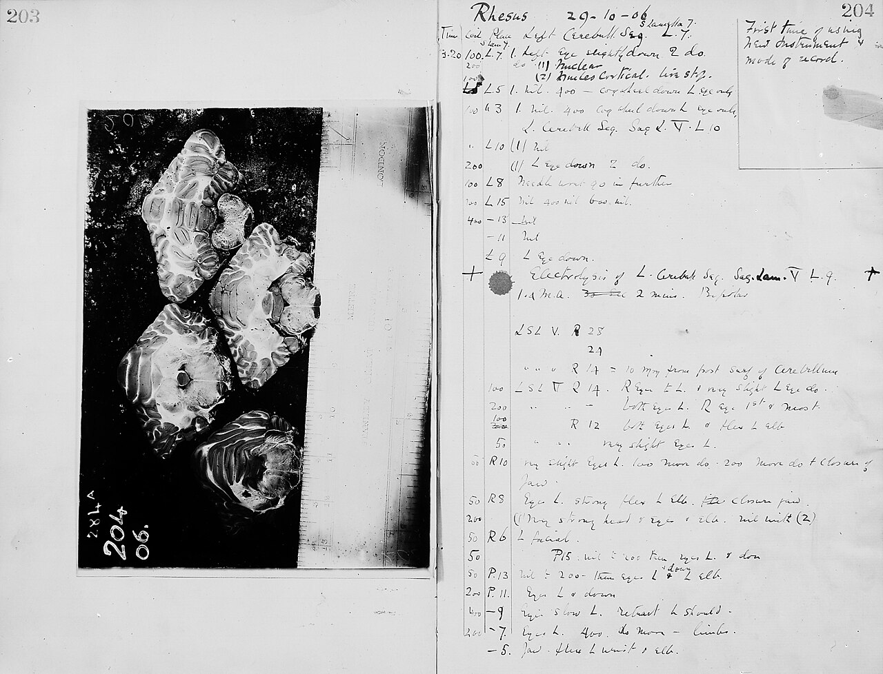 Reproducibility in AI evaluation: pinned versions, seeds and logs
